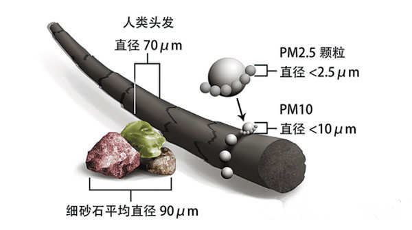 PM2.5顆粒大小與一般生活常見的物質(zhì)的比較